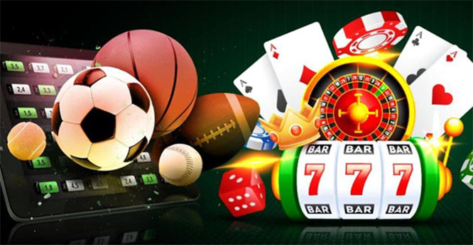 VIP Programs Compared An In-Depth Analysis of Exclusive Memberships